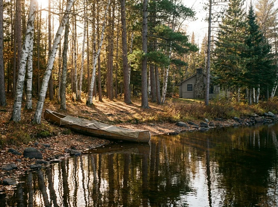 Lakeshore with birch and pine trees, early fall afternoon